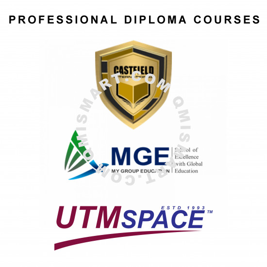 Professional Diploma in AI Multimedia and Programming